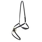 673581_Grackle-Noseband
