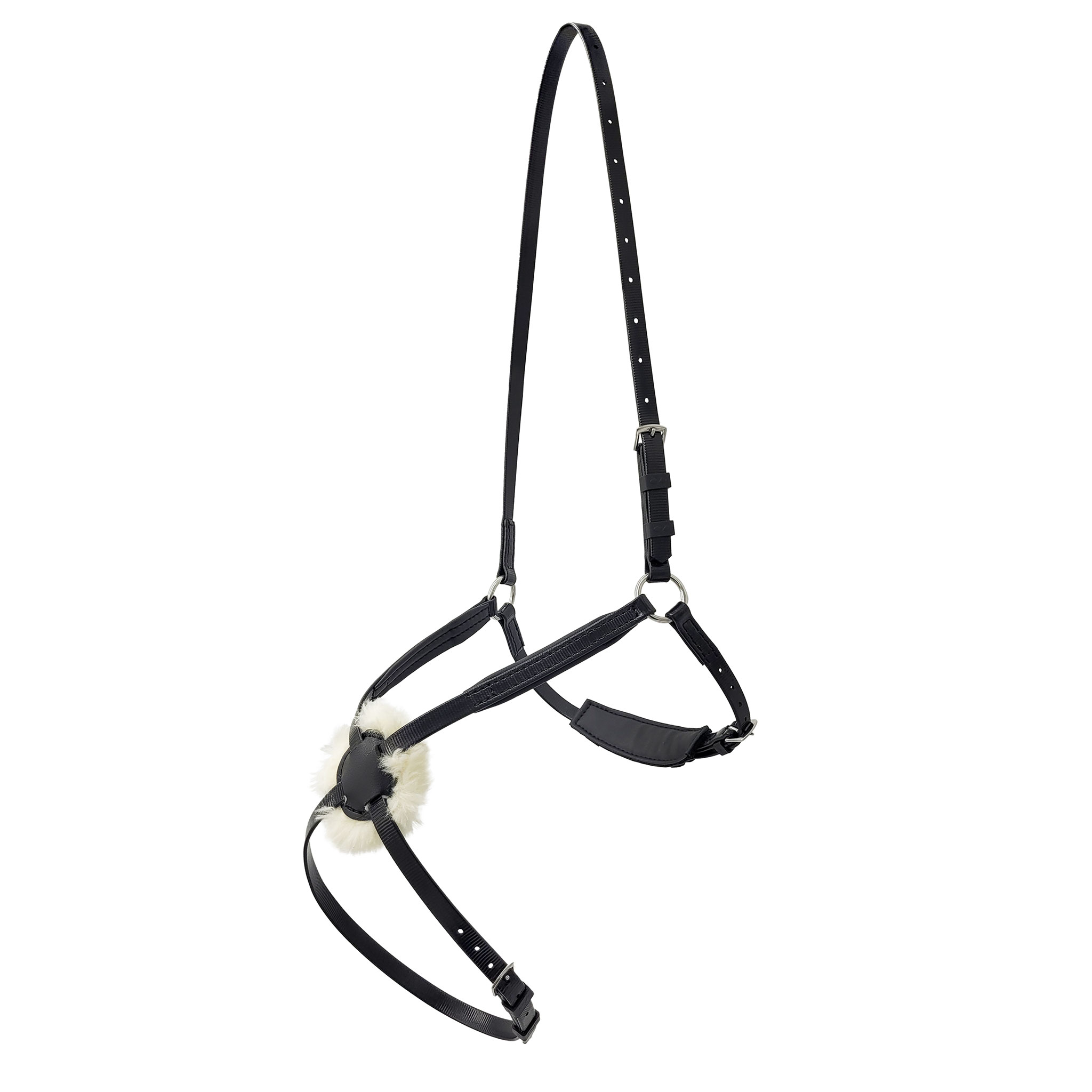 673581_Grackle-Noseband