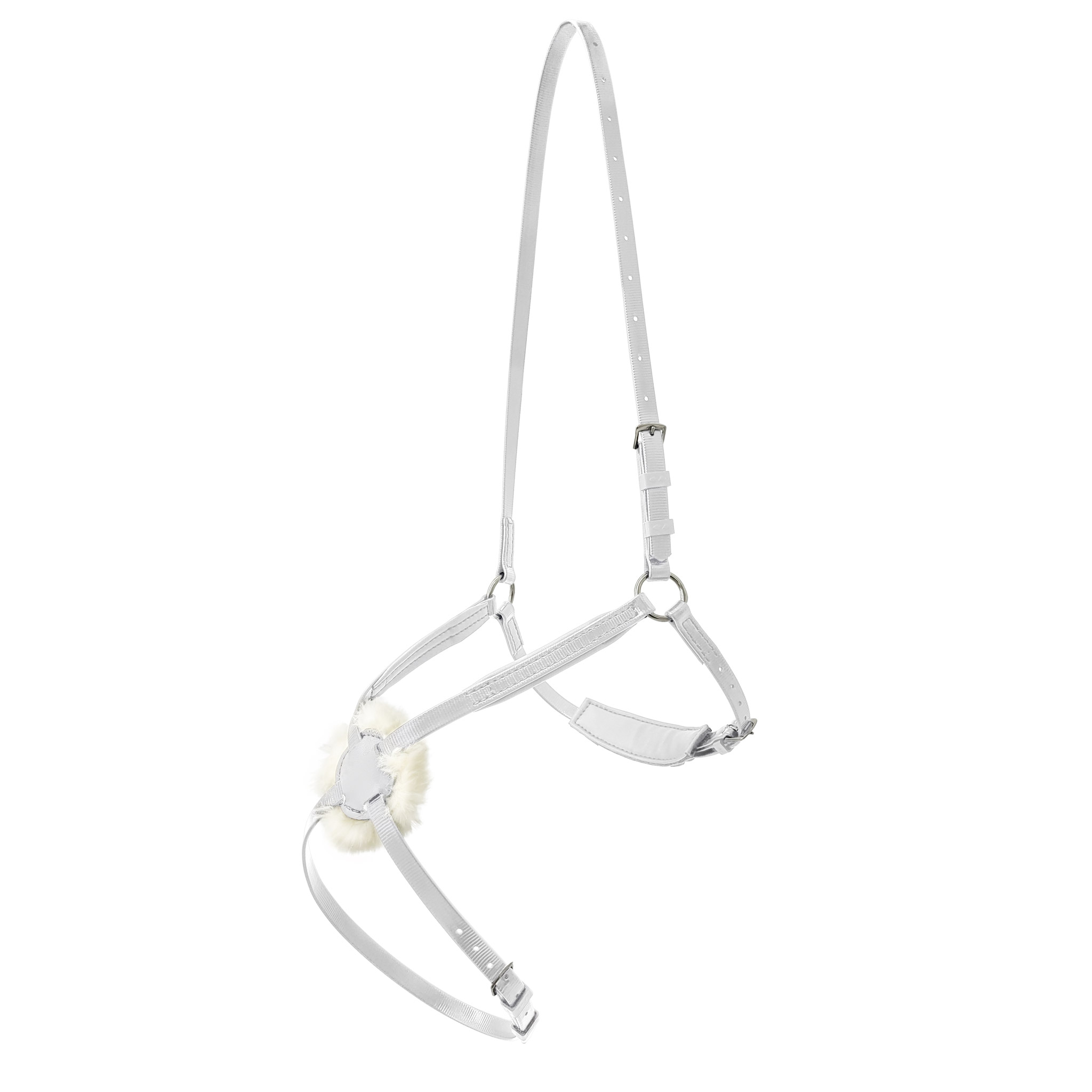 673588_Grackle-Noseband
