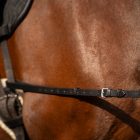 41df9acb10cdf8dd55ddcfa0dce10d3753c9da8c_TE40123000_9000_mback