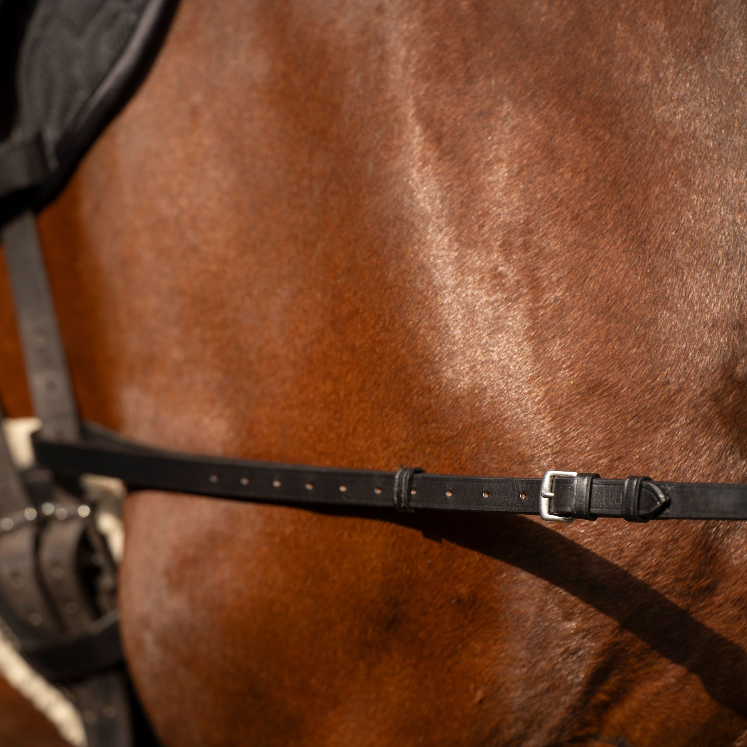 41df9acb10cdf8dd55ddcfa0dce10d3753c9da8c_TE40123000_9000_mback