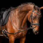 8aab22c4ecb8995f5f8a14bcea22bcddd473fe72_TE40123000_9000_mfront