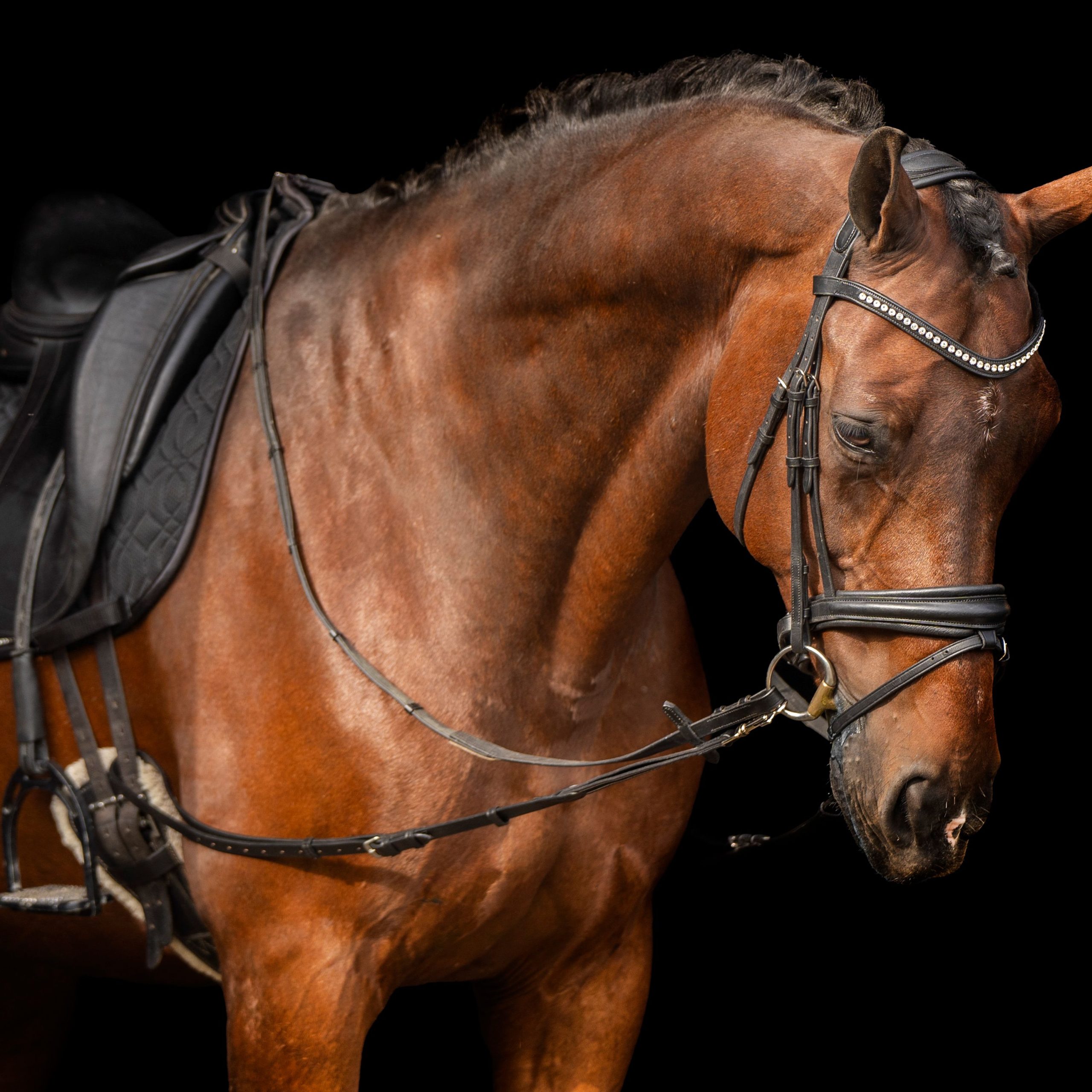 8aab22c4ecb8995f5f8a14bcea22bcddd473fe72_TE40123000_9000_mfront