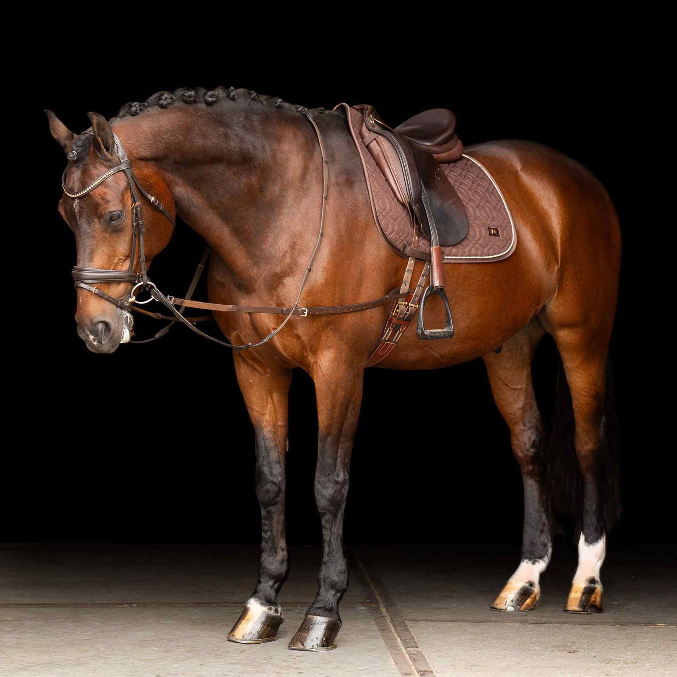 90b8635474907254705cff64482c862fc8834d5a_TE40123000_8000_mfront